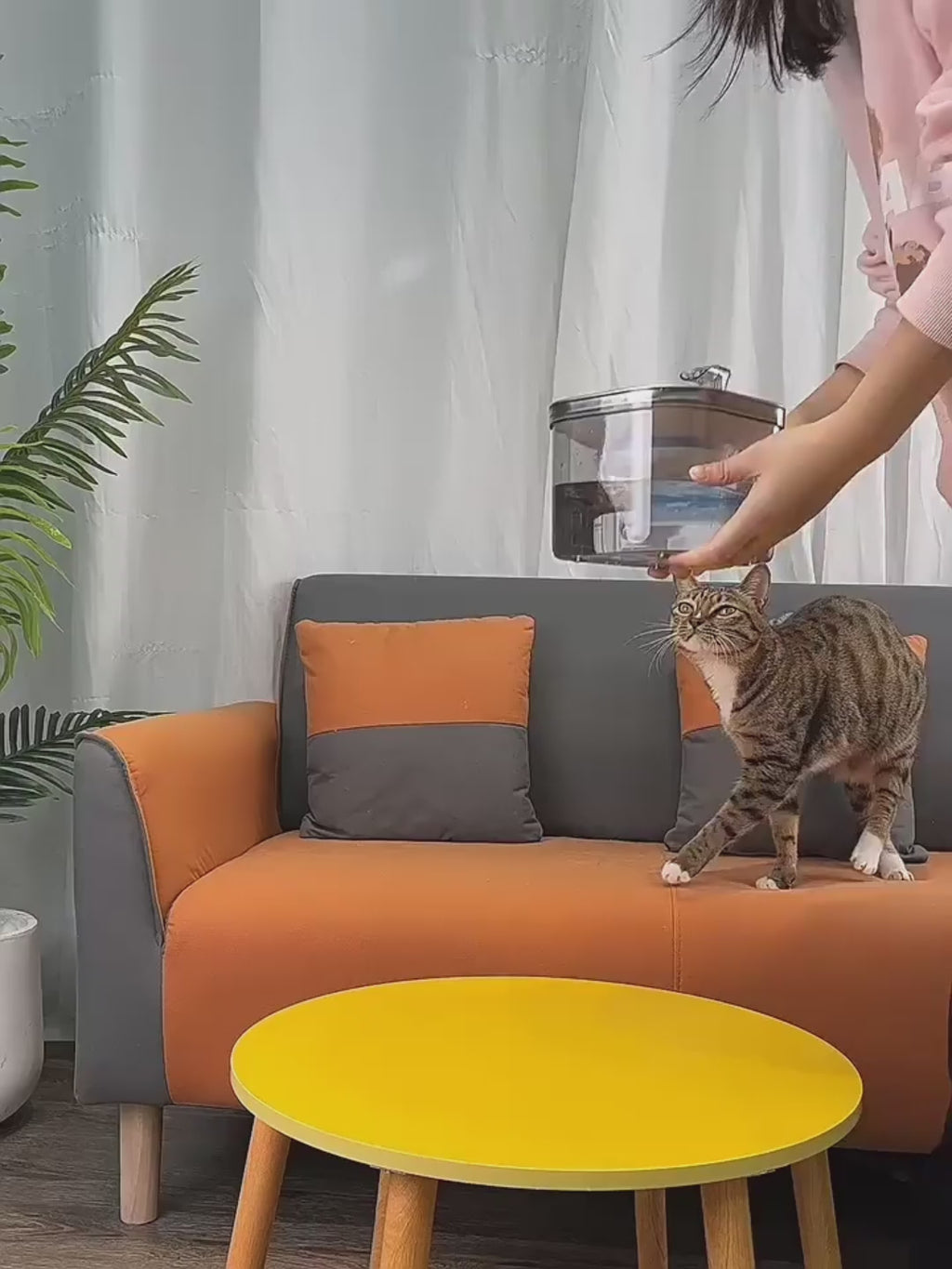 ZenVet Smart Water Fountain